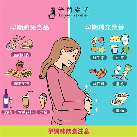 懷孕食物禁忌|懷孕前三個月不能吃什麼？懷孕初期飲食建議、孕婦飲。